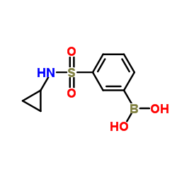 N-环丙基-3-硼苯磺酰胺