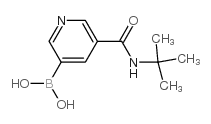 5-(叔丁基氨基甲酰基)吡啶-3-硼酸