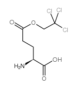 L-谷氨酸-Γ-(2,2,2-三氯乙基)酯