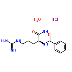 N-Α-苯甲酰-L-精氨酰胺盐酸盐