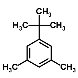 5-叔丁基间二甲苯