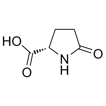 L-焦谷氨酸