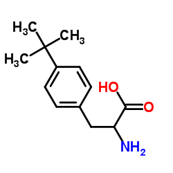 DL-4-叔丁基苯丙氨酸