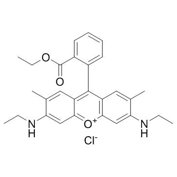 玫瑰红6G