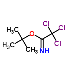 叔丁基三氯乙酰亚胺酯